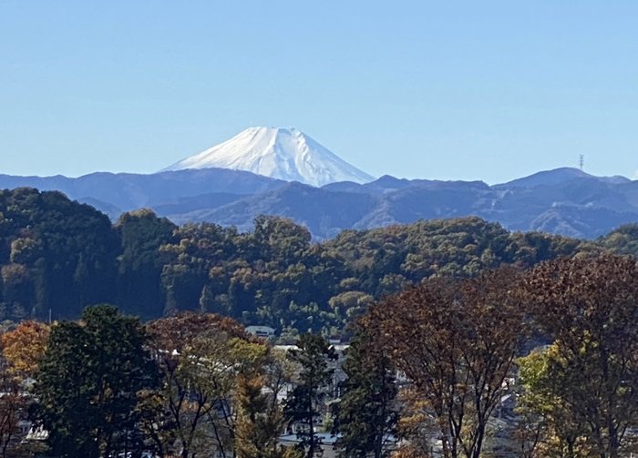 羽村からの富士